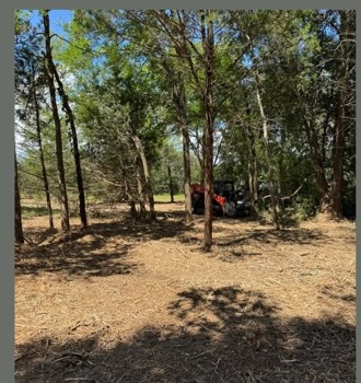 Forestry Mulching